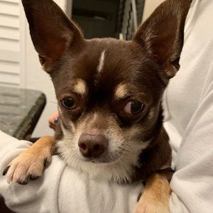 Meet your Posher, Ani